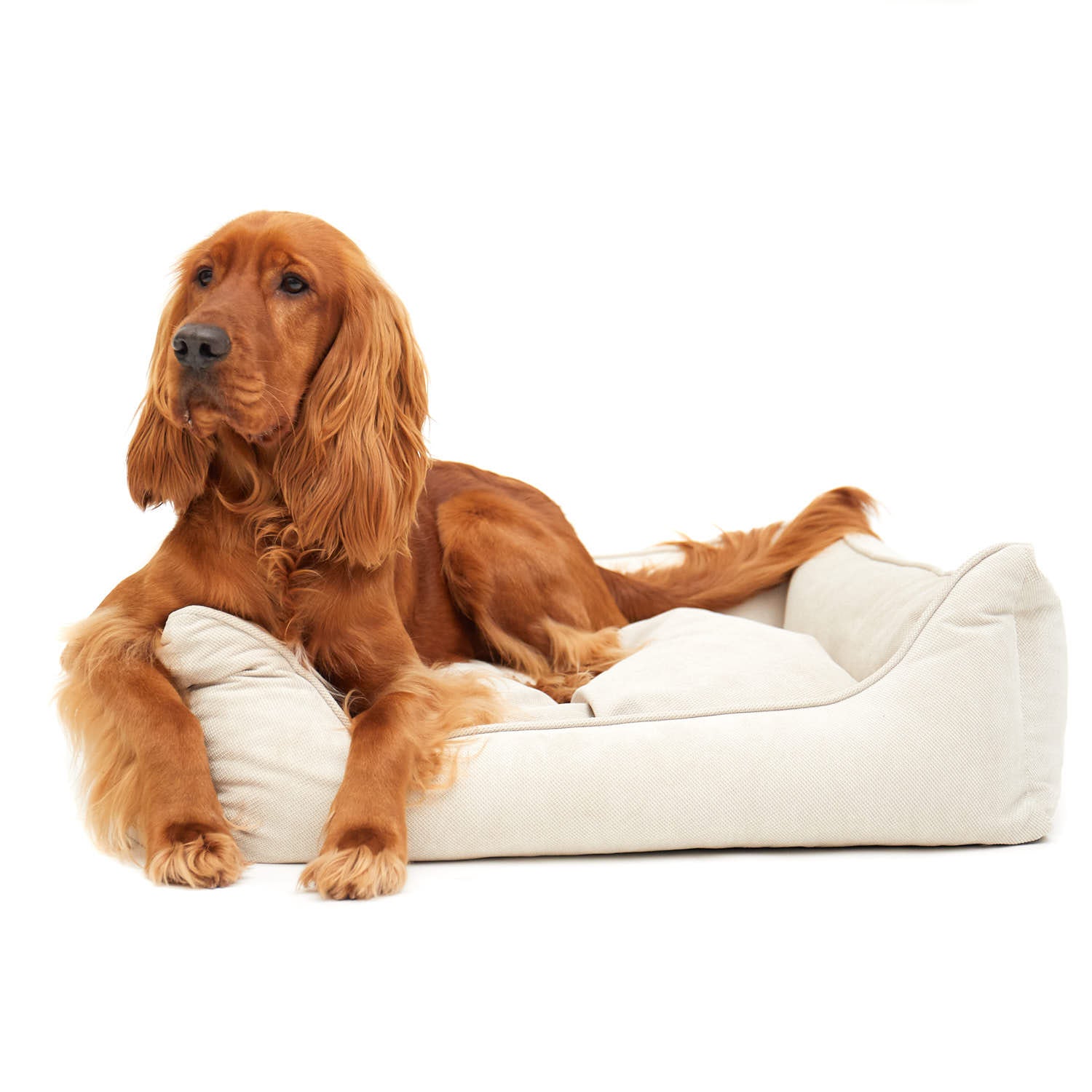 William Walker Orthopädisches Hundebett Sand (Beige)