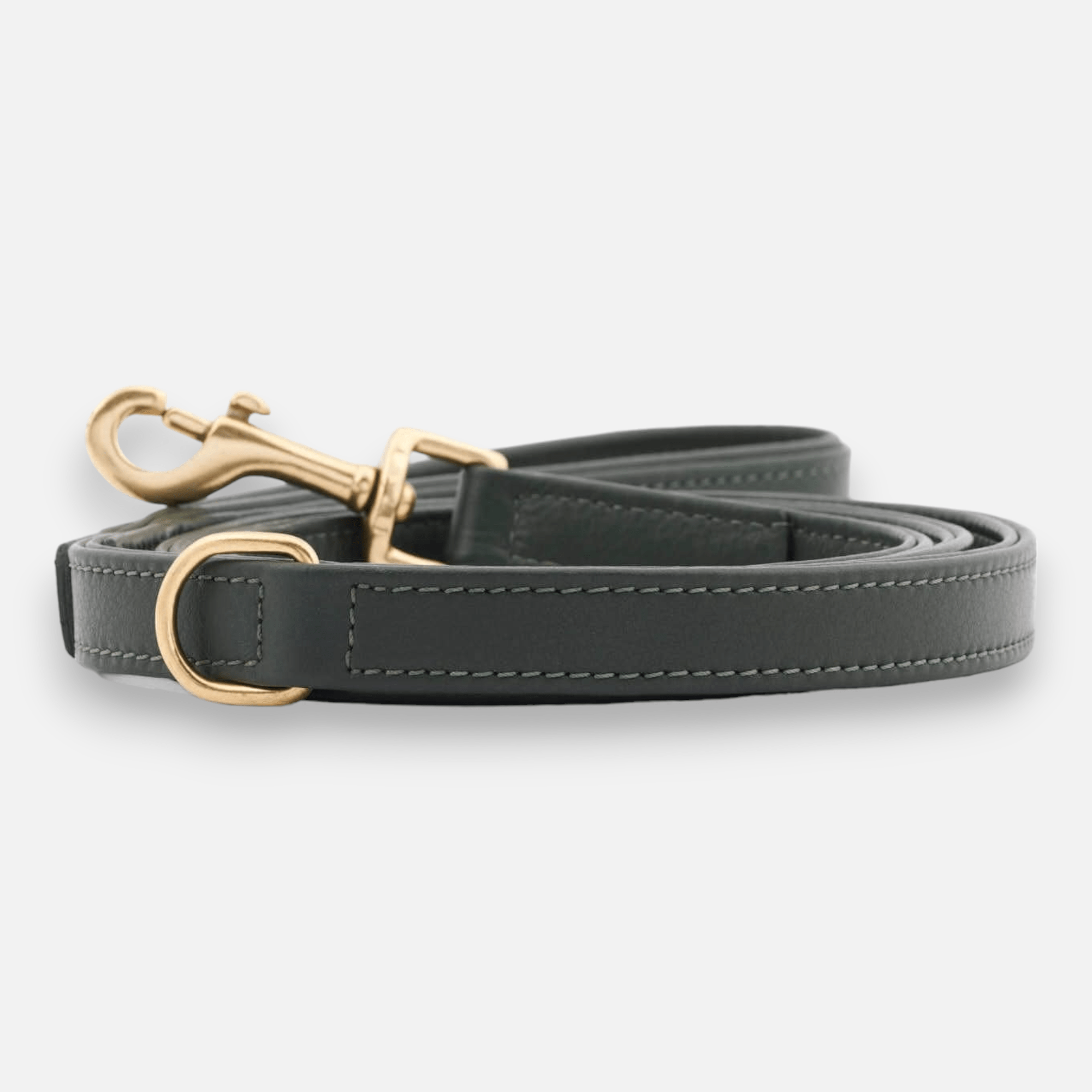 William Walker Hochwertige Leder Hundeleine Dark Moss (Waldgrün) 3-fach verstellbar (Länge 2m) / Standardgröße (Breite 2cm | Große Karabiner | Halsband S-XL)