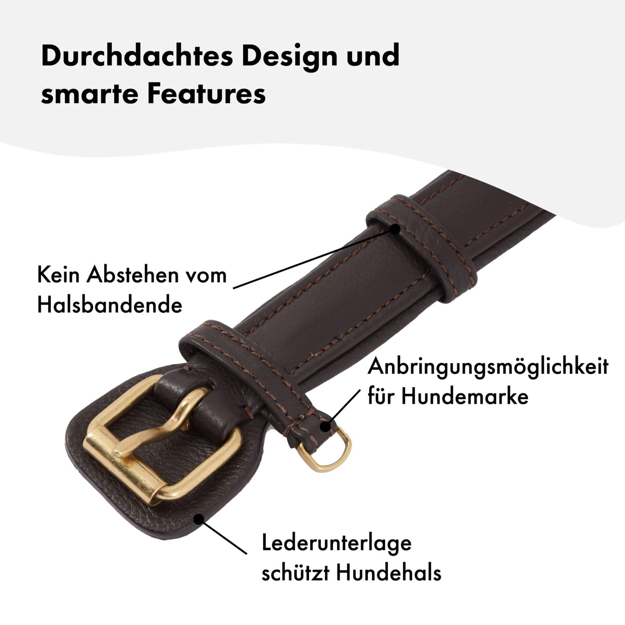 Hochwertiges Echtleder-Hundehalsband - Verstellbar, robust und ideal für kleine und große Hunde in edlem Braun mit goldenen Schnallen. 